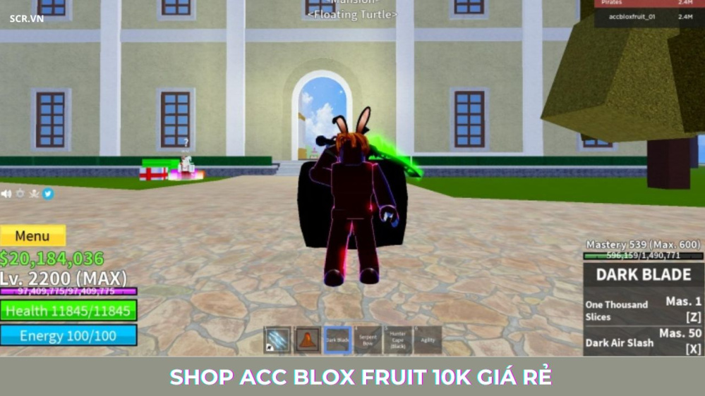 Shop ACC Blox Fruit 10K Giá Rẻ 0Đ 2024 (Random LV Max, Mochi)