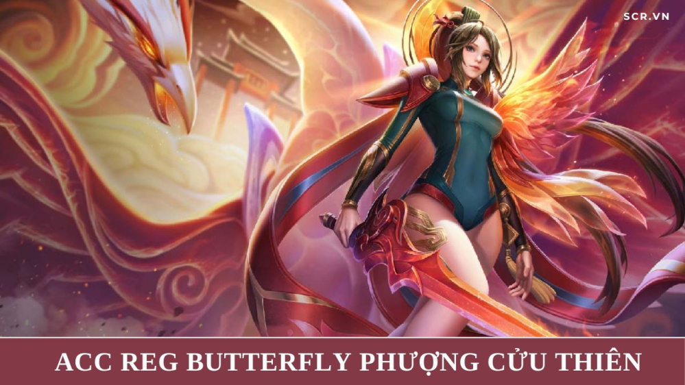 ACC Reg Butterfly Phượng Cửu Thiên, Aya Mc Sóc Nhỏ, Zuka (2024)