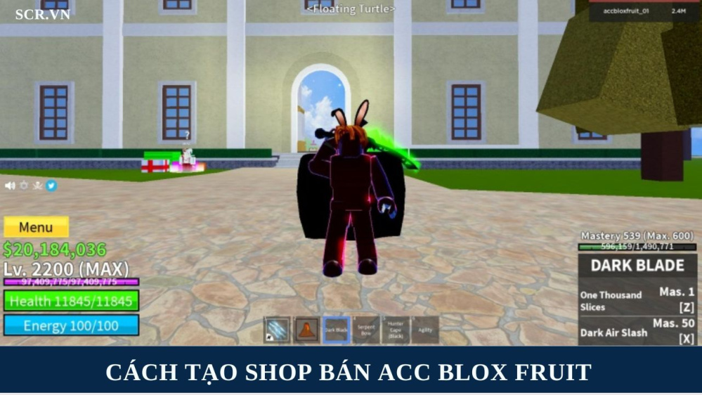 Cách Tạo Shop Bán ACC Blox Fruit, Roblox 2024 (Miễn Phí)