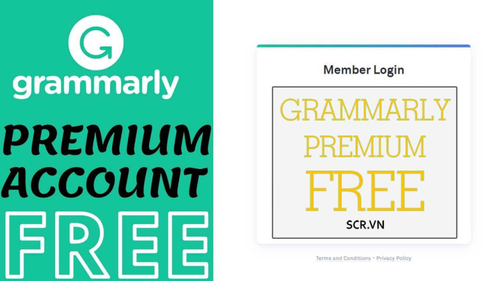 Grammarly Premium Free 2024 (Share Tài Khoản Acc Miễn Phí)