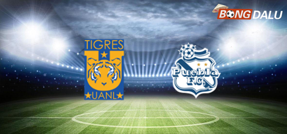 Ảnh chụp trận đấu giữa Tigres UANL và Puebla tại giải Mexico Liga MX